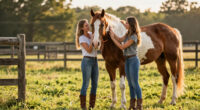 Celebrities and Influencers Help the ASPCA Celebrate Adopt a Horse Month!