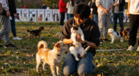 Happy Tails! Nearly 300 dogs and cats adopted at MEGA pet adoption event in Jacksonville