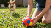 11 Best Pet Soccer Toys for Active Play in 2026