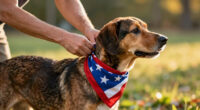 15 Best Patriotic Dog Bandanas for Holiday Photos in 2026