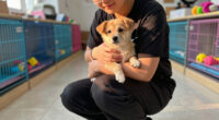 MCACC INVITES COMMUNITY TO ADOPT PETS IN NEED DURING PETSMART CHARITIES NATIONAL ADOPTION WEEK
