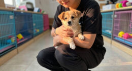 MCACC INVITES COMMUNITY TO ADOPT PETS IN NEED DURING PETSMART CHARITIES NATIONAL ADOPTION WEEK