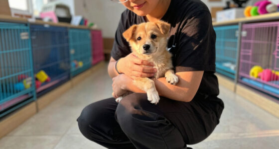 MCACC INVITES COMMUNITY TO ADOPT PETS IN NEED DURING PETSMART CHARITIES NATIONAL ADOPTION WEEK
