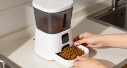 12 Best Automatic Pet Feeders in 2026