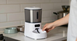 14 Best Automatic Pet Feeders in 2026