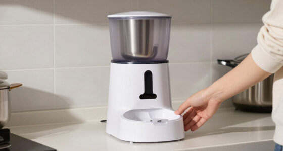 15 Best Automatic Pet Feeders in 2026