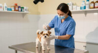 New PETS Clinic Offers Low-cost Walk-in Pet Care