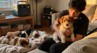 San Antonio Pets Alive! Seeks Emergency Fosters After Storm Knocks Out Power