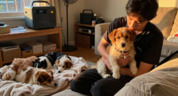 San Antonio Pets Alive! Seeks Emergency Fosters After Storm Knocks Out Power
