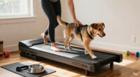 15 Best Dog Treadmills for Indoor Exercise in 2026