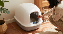 15 Best Self-Cleaning Litter Boxes for 2026