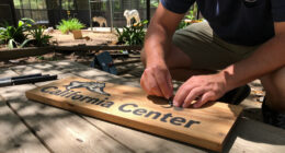 California Wolf Center Surges In Global Coverage