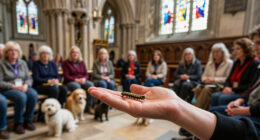 Photos: Caterpillar Among 79 Pets Blessed At Salisbury Cathedral Service