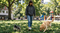 Prosecutors Drop City Dogs’ Animal Cruelty Charges