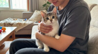 The New Kitten Is 20% Body And 200% Eyes