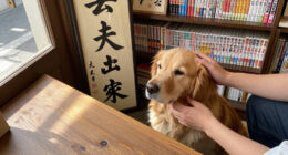〈TOKYO 映えSPOT〉西神田・日本書房 看板犬 癒やしの存在 - 東京新聞