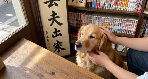 〈TOKYO 映えSPOT〉西神田・日本書房 看板犬 癒やしの存在 - 東京新聞