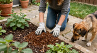 13 Best Dog-Safe Garden Products for 2027