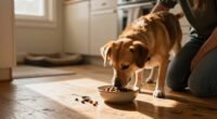 14 Best Dog Foods for Picky Eaters in 2027