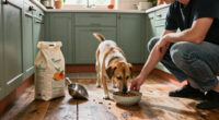 15 Best Humane Pet Foods in 2027
