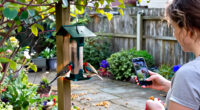 15 Best AI Bird Feeders for Smarter Backyard Birdwatching in 2027