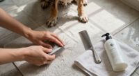 15 Best Pet Grooming Supplies for Easier At-Home Care in 2027