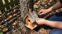 15 Best Squirrel Houses for Backyard Shelter in 2027