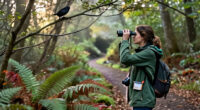 Best Gifts for a Bird Watcher: Backyard and Field Picks They'll Enjoy Using