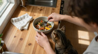 Cats Have A Say: Nulo Survey Reveals Just How Much They Shape Everyday Life