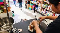 From Retail To Grooming: Pet Players Expand Store Networks