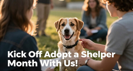 Kick Off Adopt A Shelter Dog Month With Us!