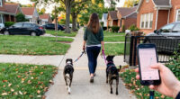 Pet Sitting Businesses Report Revenue Growth In North America