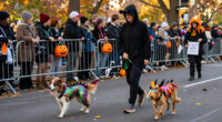 The ASPCA Participates In The 36Th Annual Tompkins Square Halloween Dog Parade