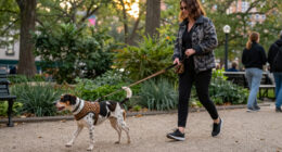 WAUDOG Expands Its Animal-Print Collection Of Accessories And Clothing With Trendy Patterns